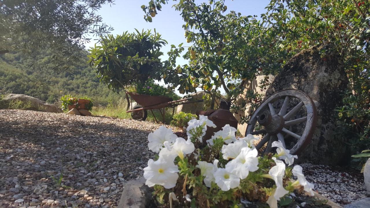B&B Casa Vacanza Centro Sardegna Sorgono Екстериор снимка