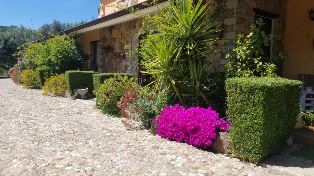 B&B Casa Vacanza Centro Sardegna Sorgono Екстериор снимка