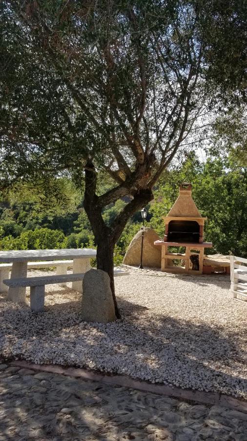 B&B Casa Vacanza Centro Sardegna Sorgono Екстериор снимка