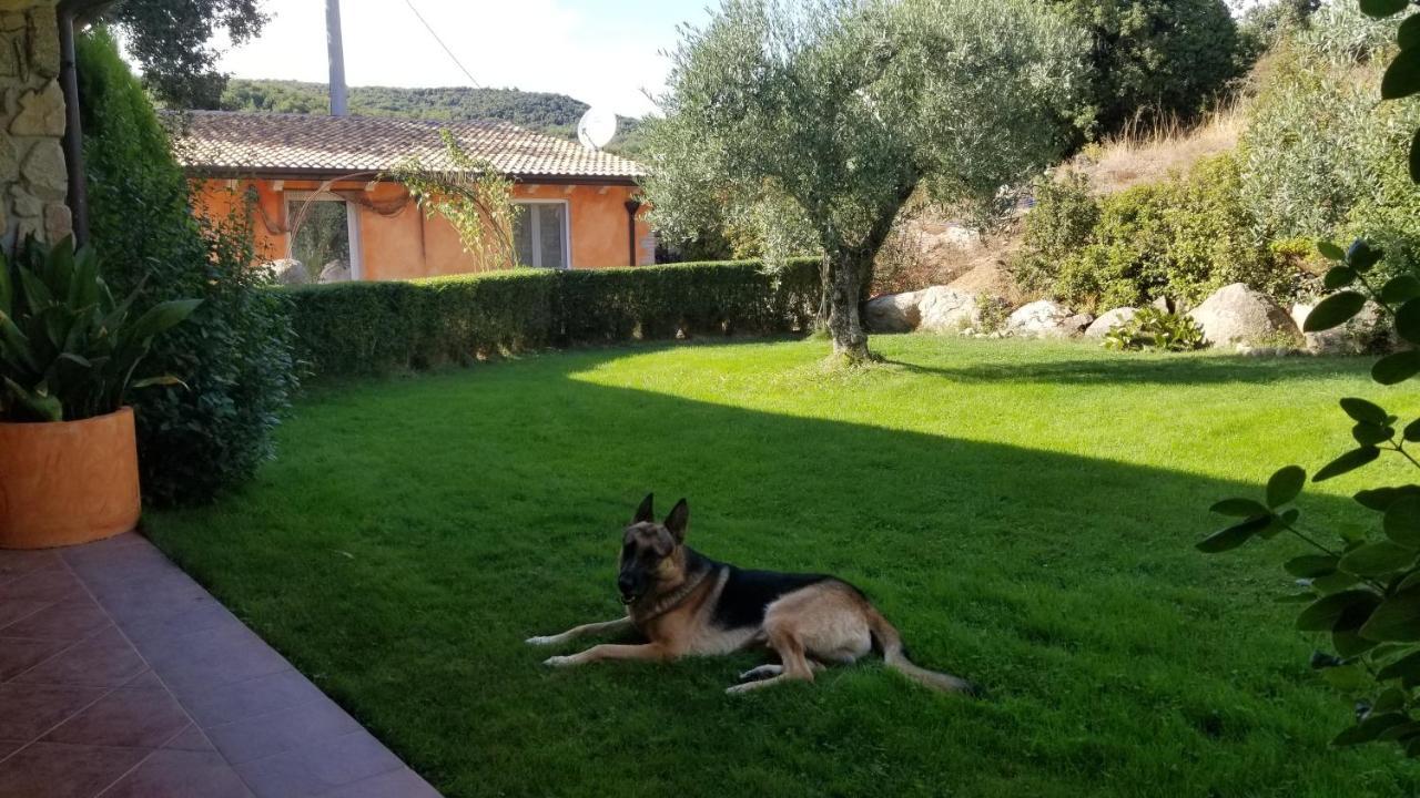 B&B Casa Vacanza Centro Sardegna Sorgono Екстериор снимка
